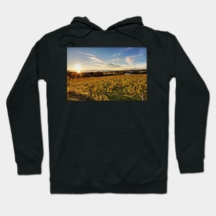 Sunset over Grape Orchards - Lake Constance Hoodie